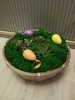 Кактусы и суккуленты на Пасху Кактусы и суккуленты на Пасху