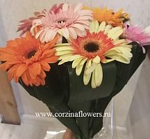 Букет из 9 гербер микс с аспидистрой SR44 купить в Москве