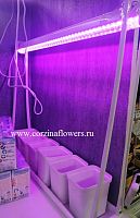 Фитосветильник на 6 растений Hz12 купить в Москве