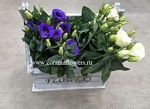 Эустома в ящике Винтаж Фловерс KM397 купить в Москве
