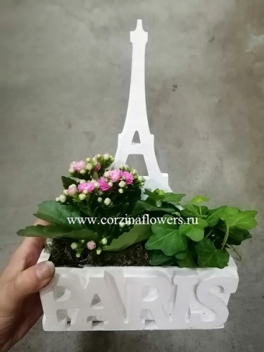 Композиция PARIS KM40 Композиция PARIS KM40 купить в Москве