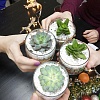Мастер-класс (корпоратив) на Новый год Мастер-класс (корпоратив) на Новый год